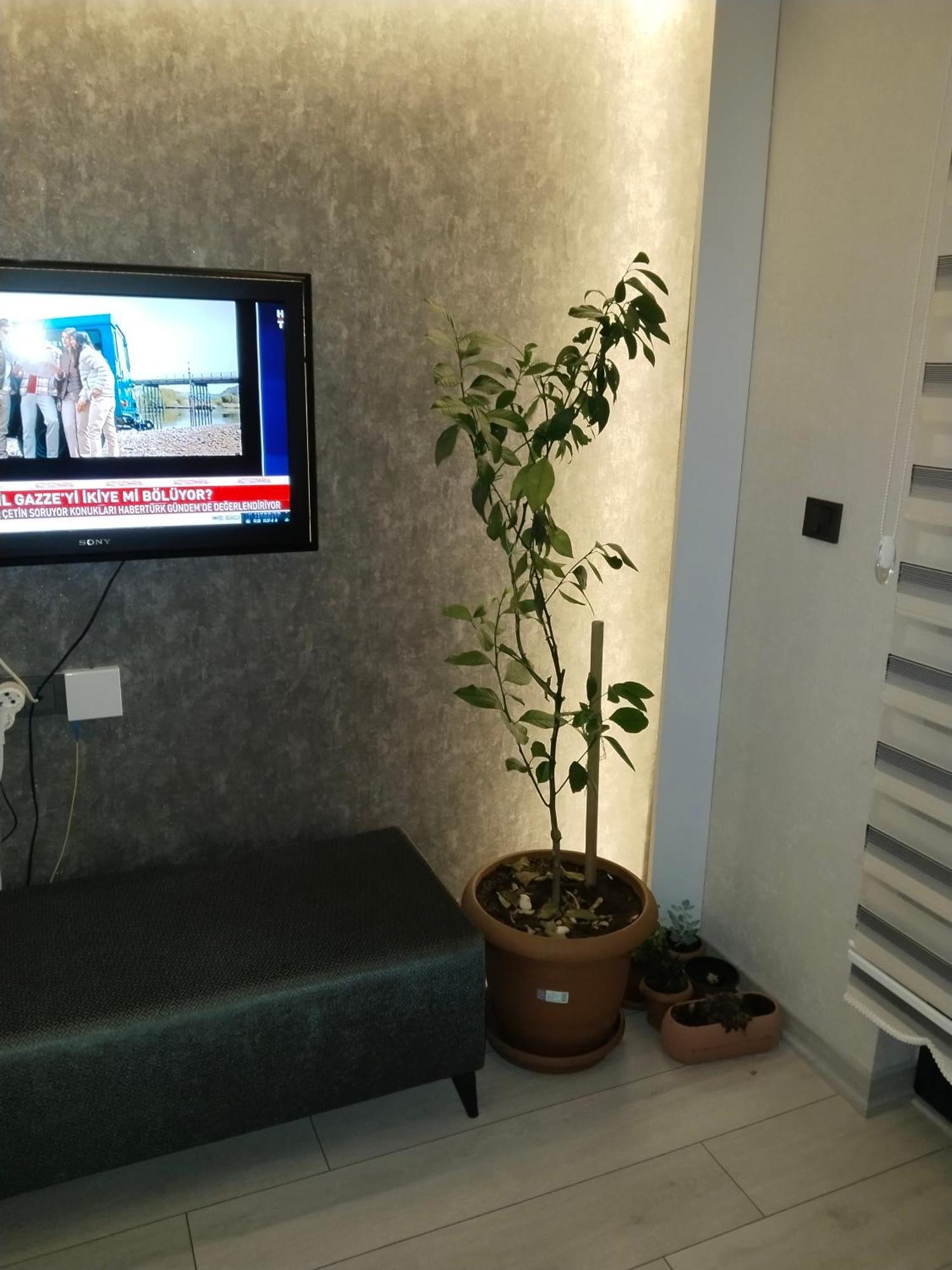 Ankara Esenboga Airport Luxury Rezidance Apart Extérieur photo